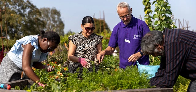 Help save future of allotments and community gardens
