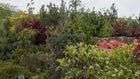 Thumbnail for slide 2