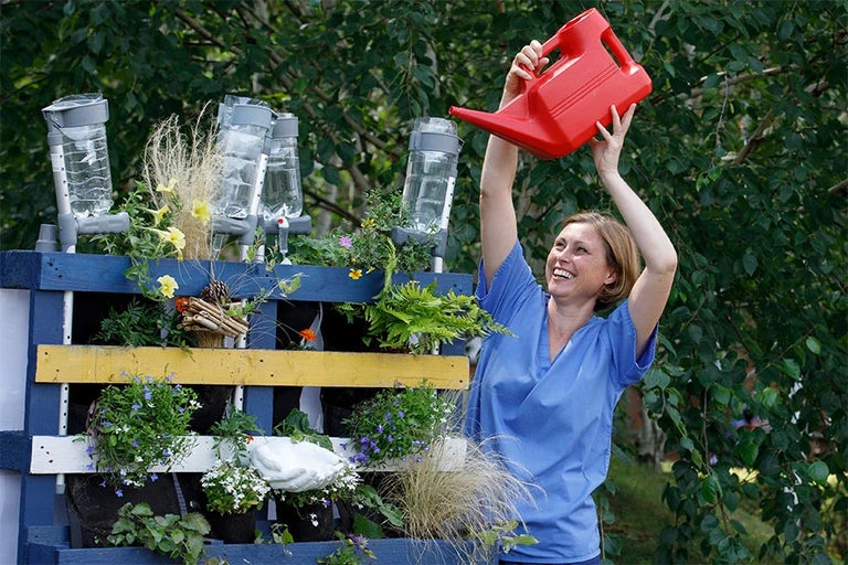 See other examples of wellbeing gardens
