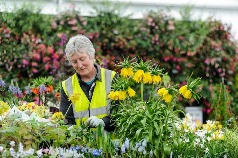 RHS peat-free policy for suppliers and Shows exhibitors