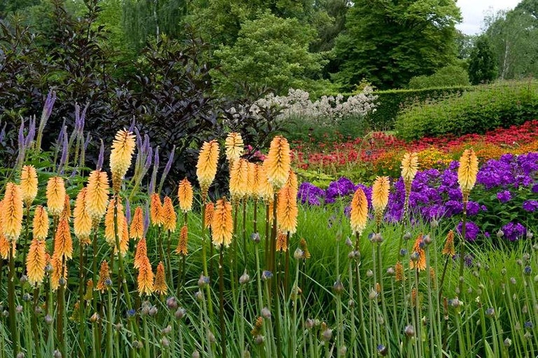 Plan your visit to RHS Garden Harlow Carr today