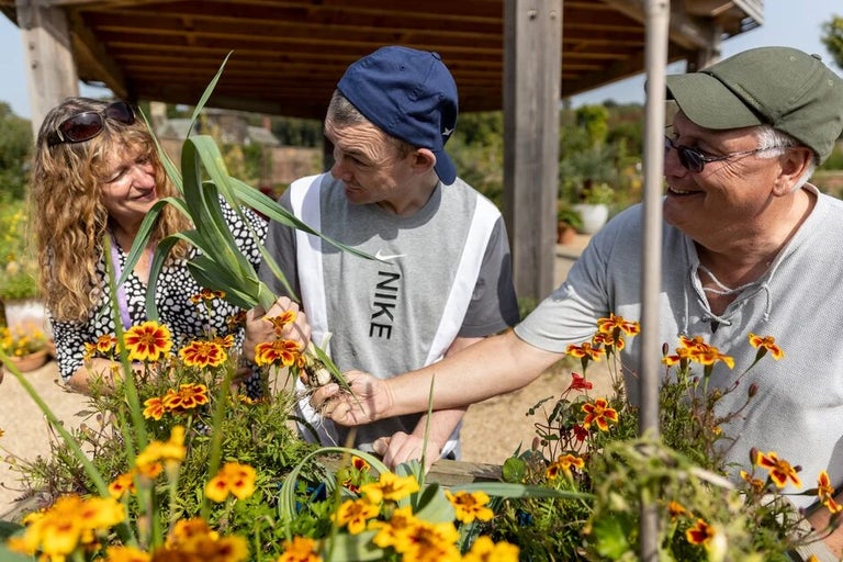 How to create a wellbeing garden