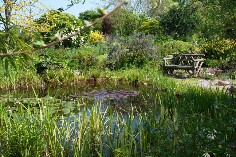 Managing water in the garden