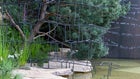 Thumbnail for slide 8