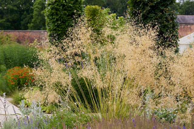 Sustainable planting combinations