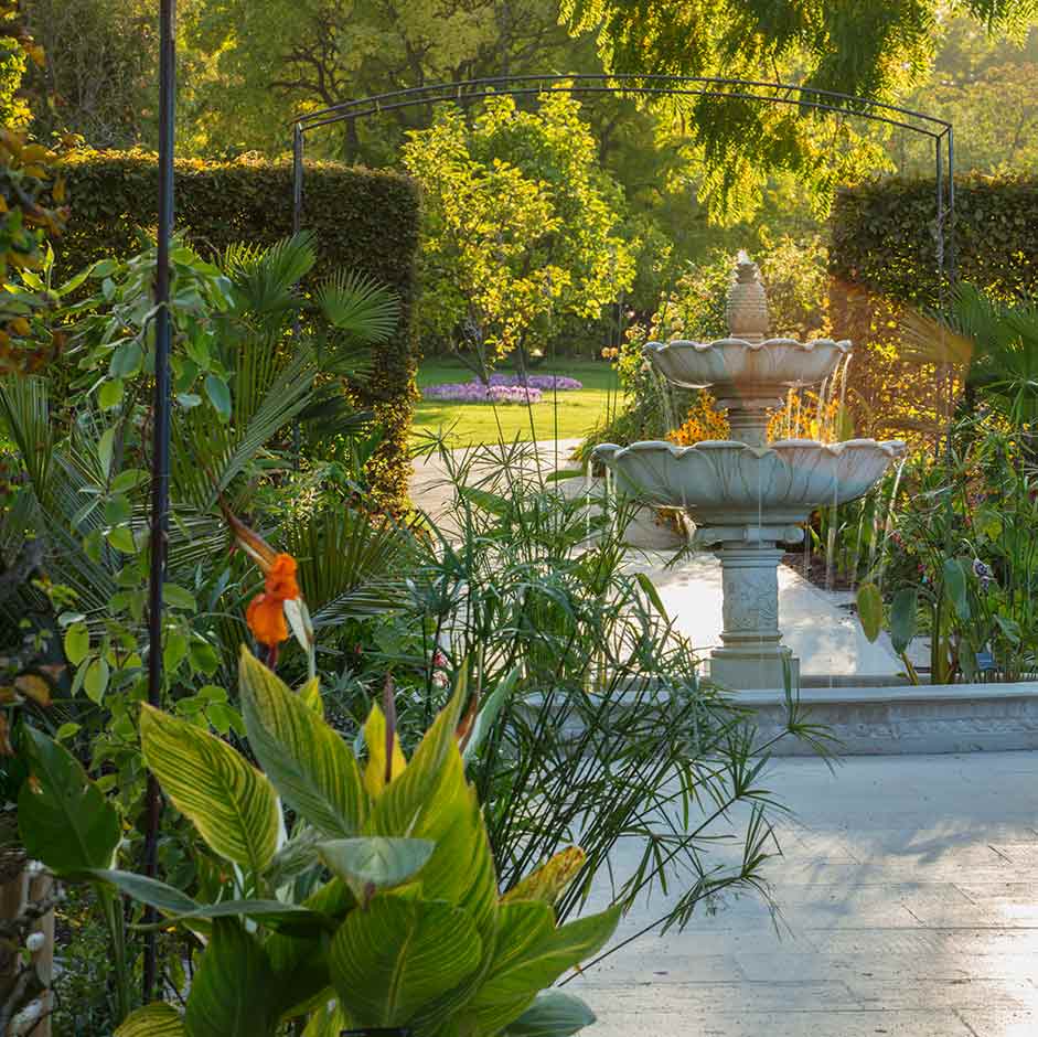 RHS Wisley Exotic Garden