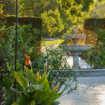 RHS Wisley Exotic Garden