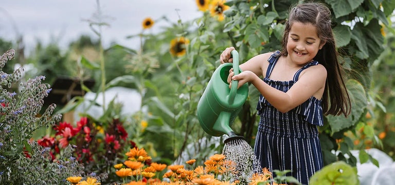 Fast flowers to grow with children