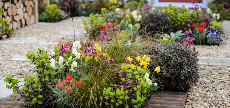 Greener gardens promote healthier residents