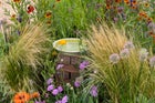 Thumbnail: From Plot To Habitat