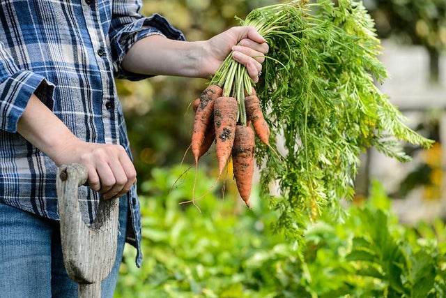 Grow your own