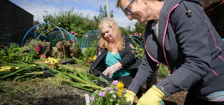 Growing healthy in Gateshead