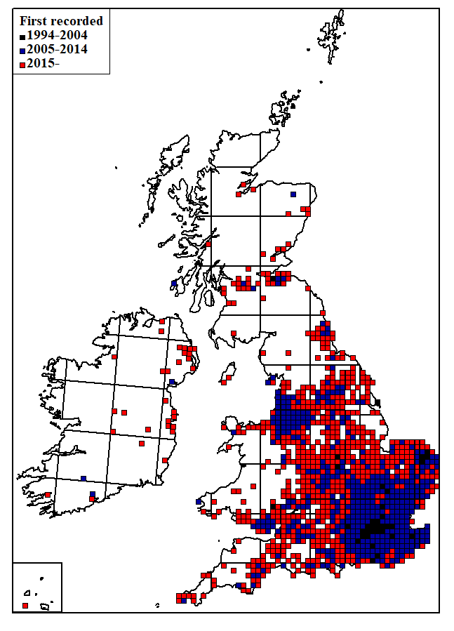 Thumbnail for slide 2