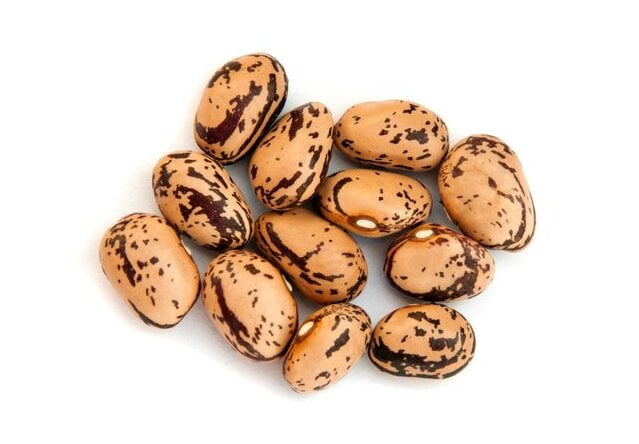 ‘Borlotto Lingua di Fuoco’