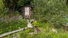Thumbnail for slide 1