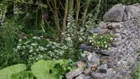 Thumbnail for slide 3