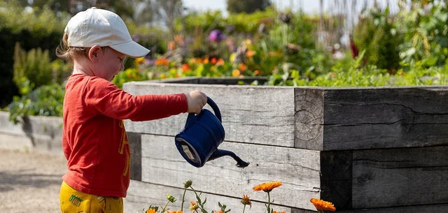 Wellbeing benefits of gardening for children