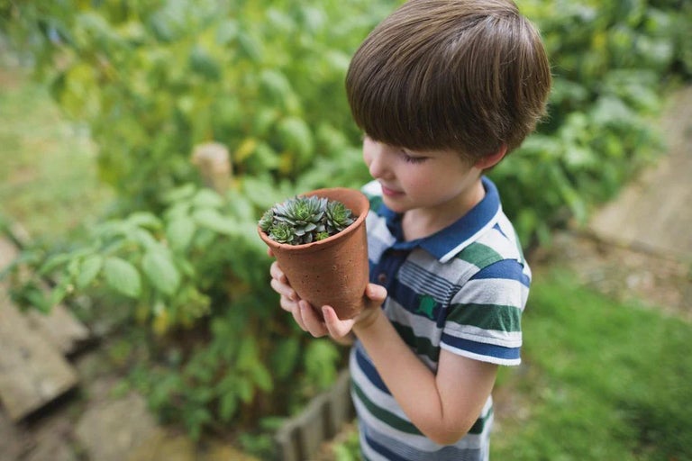 Campaign for School Gardening
