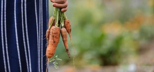 What to do with leftover fruit and veg