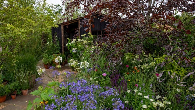 RHS Money-Saving Garden
