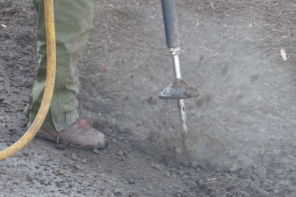 Improving Health of Declining Trees and Shrubs | RHS Advice