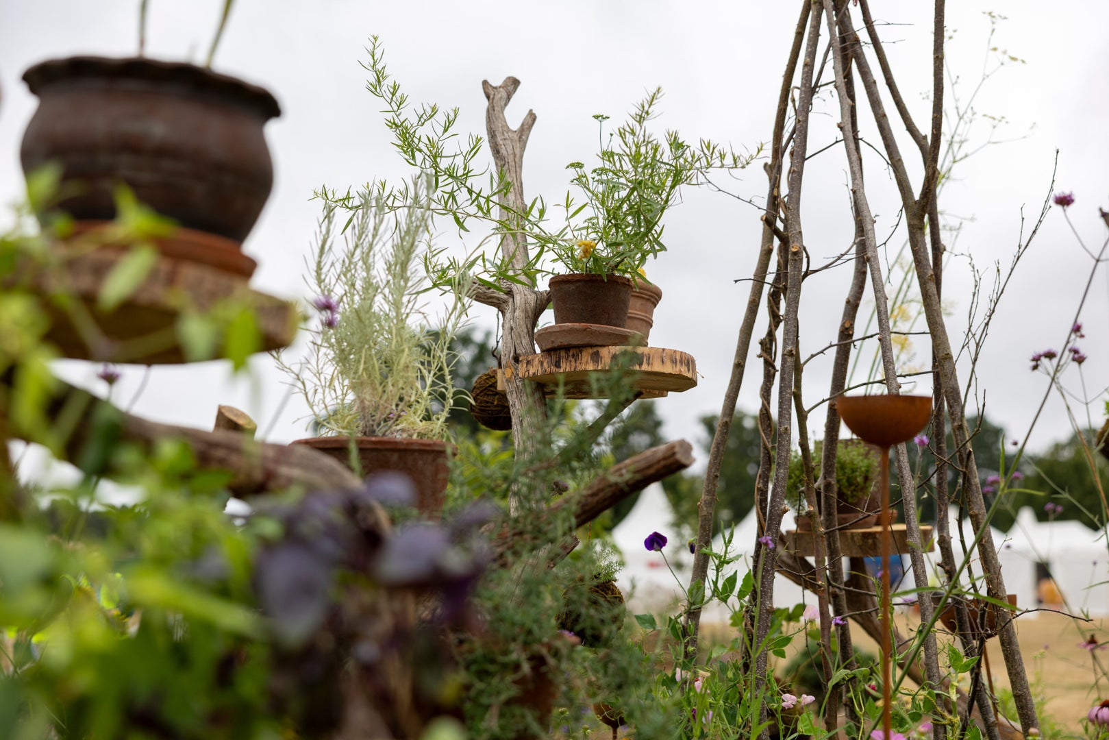 Nene Nursery
