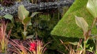 Thumbnail for slide 6