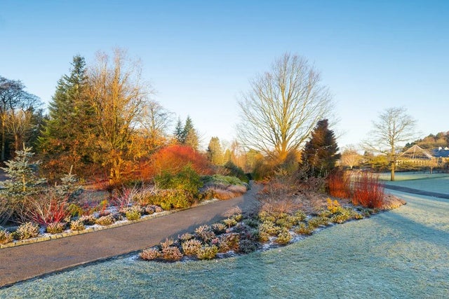 RHS Garden Harlow Carr, North Yorkshire