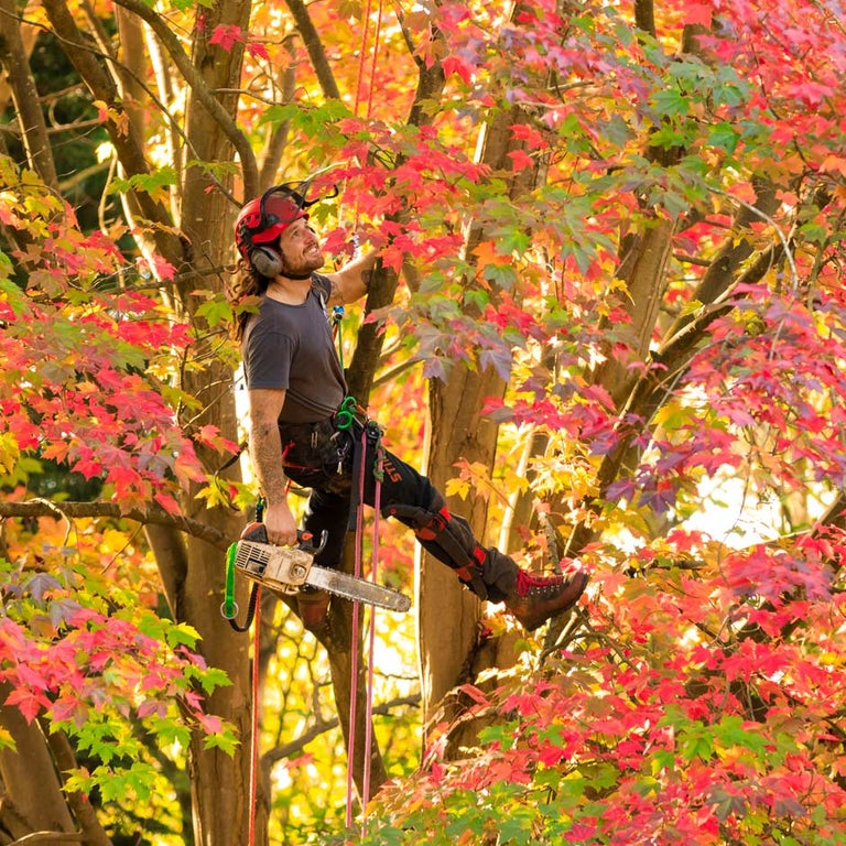 Hiring gardeners and contractors