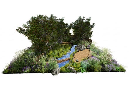 See the Show Garden designs