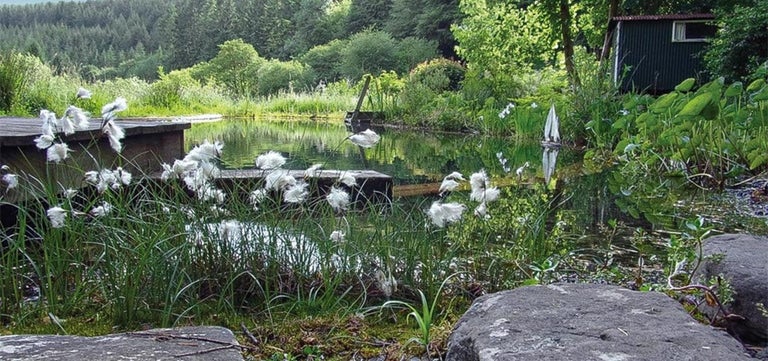 Wellbeing at RHS Partner Gardens