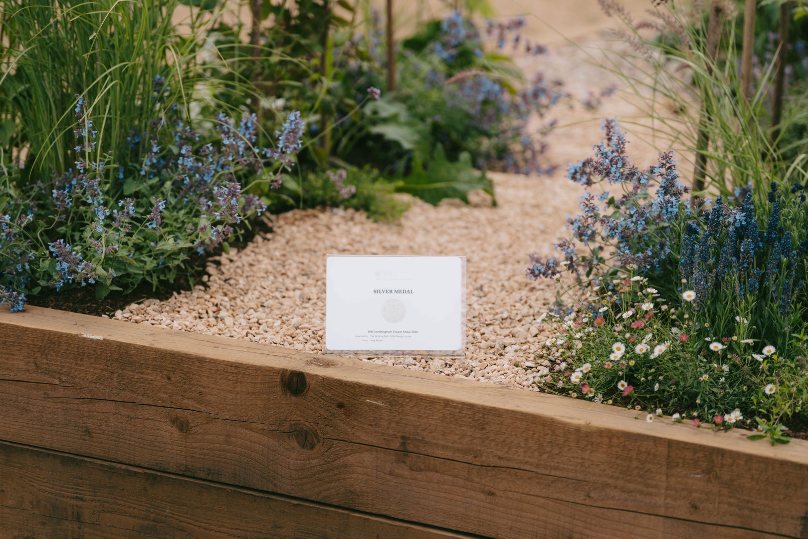 The Winding Path: A Wellbeing Journey Long Border medal