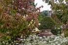 Thumbnail: RHS Royal Legacy Garden