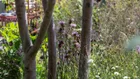 Thumbnail for slide 5