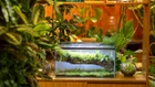 Thumbnail for slide 4