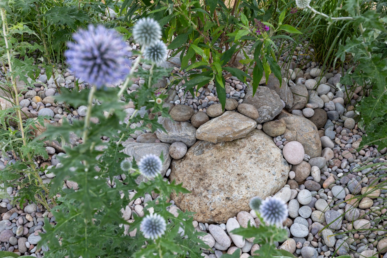 Evoke Garden Designs: The Trust Links Therapeutic Garden