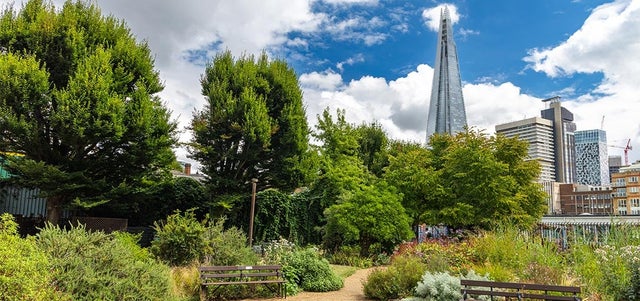 A green gem in the shadows of The Shard