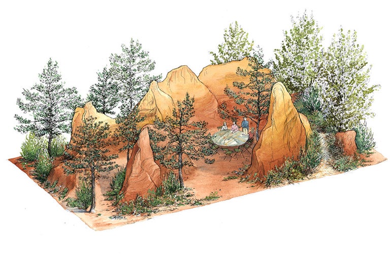 See all the gardens coming to the show