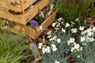 Thumbnail: Nurture Nature – Nature Nurtures
