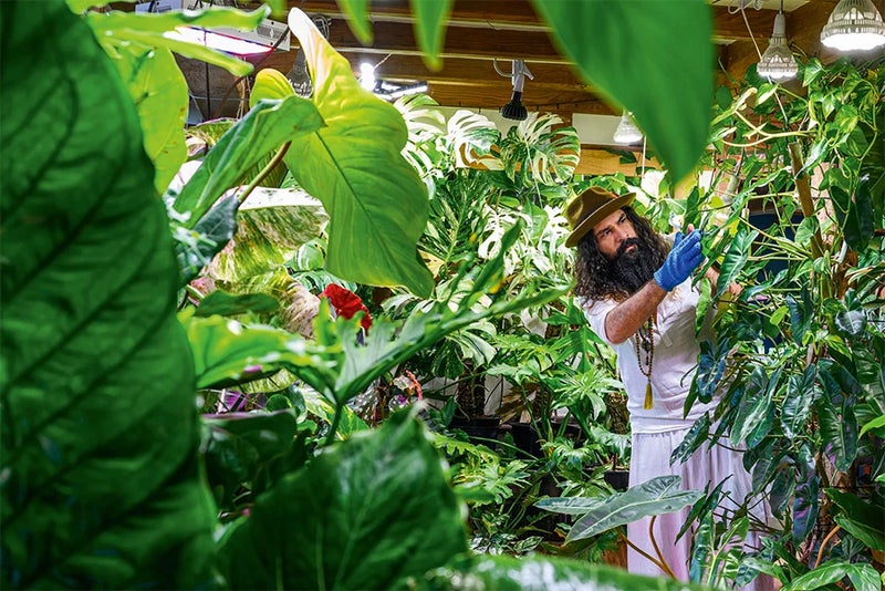 An indoor jungle