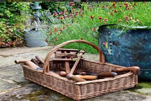 Garden and Wood