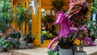 Thumbnail for slide 3