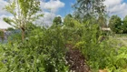 Thumbnail for slide 1