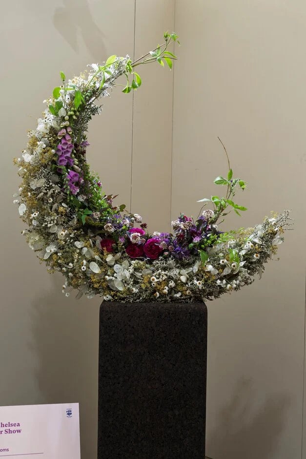 Moon in Bloom