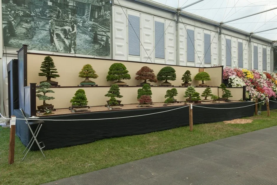 Federation of British Bonsai Societies