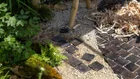 Thumbnail for slide 4