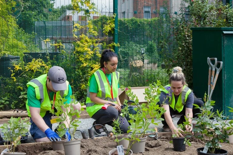 Donate to support the charitable work of the RHS
