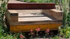 Thumbnail for slide 3