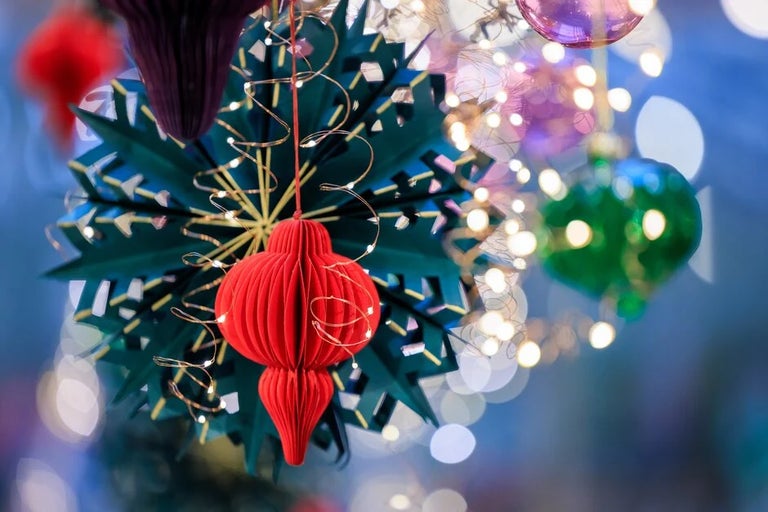 Celebrate Christmas with the RHS