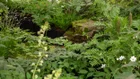 Thumbnail for slide 4